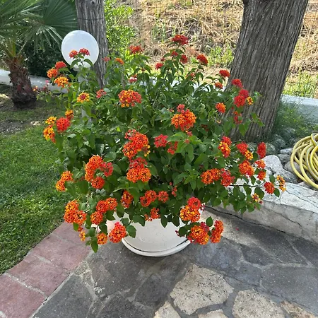 فندق Ristorante Santa Maria أمانتيا