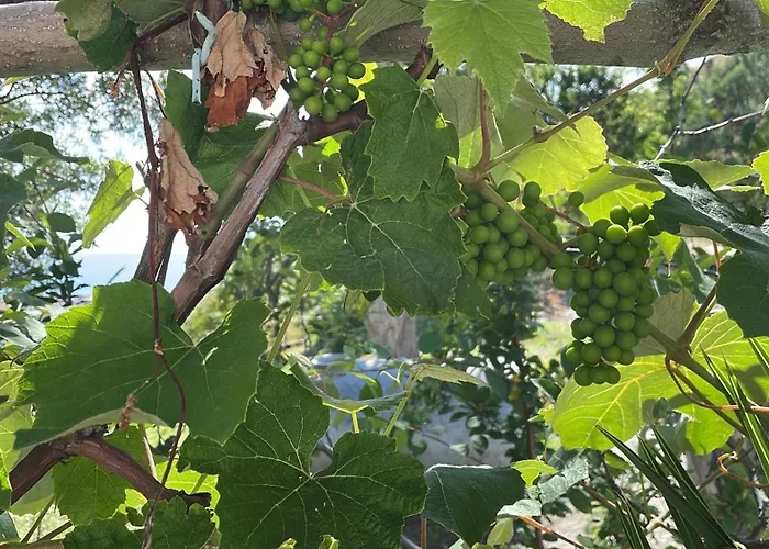 Ristorante Santa Maria Hotel