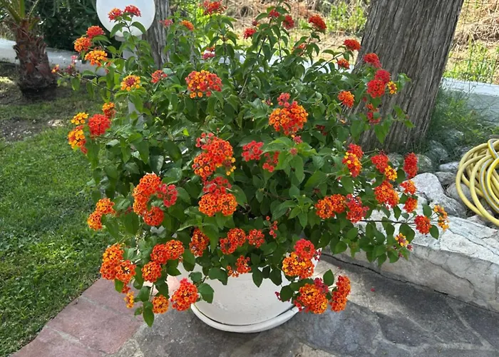 Hotel Ristorante Santa Maria Amantea